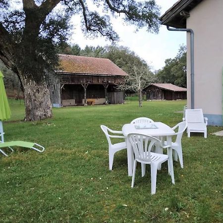 Le Petit Frouas Sud Apartamento Vielle-Saint-Girons Exterior foto