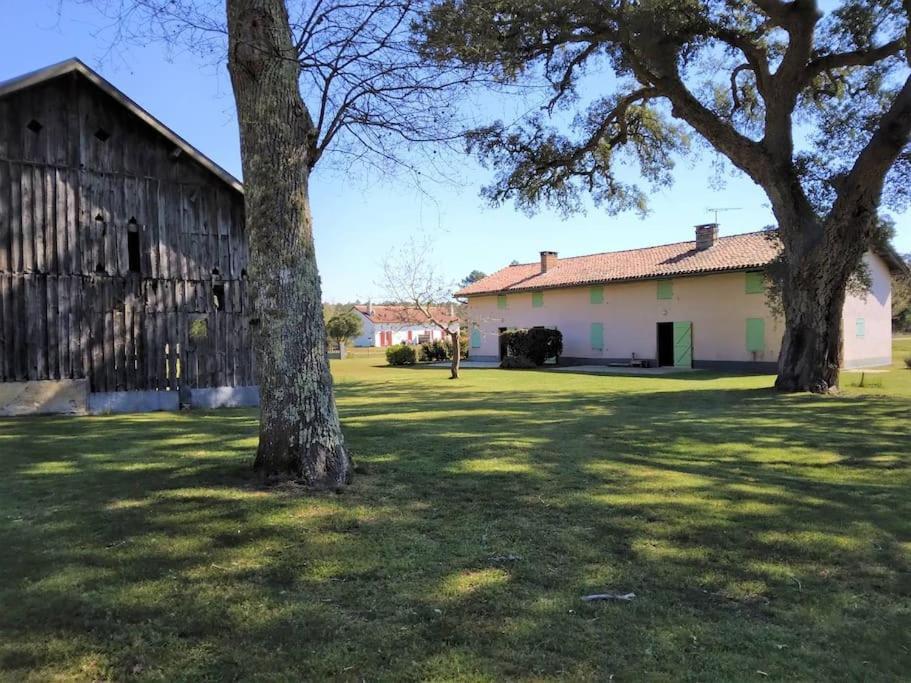 Le Petit Frouas Sud Apartamento Vielle-Saint-Girons Exterior foto