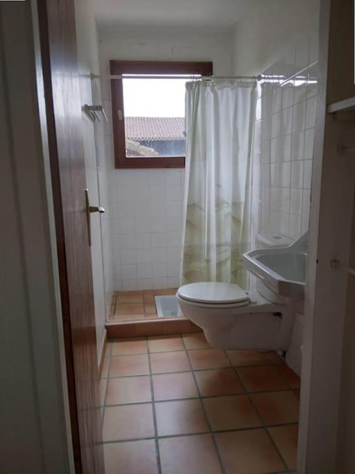 Le Petit Frouas Sud Apartamento Vielle-Saint-Girons Exterior foto