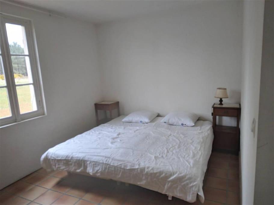 Le Petit Frouas Sud Apartamento Vielle-Saint-Girons Exterior foto
